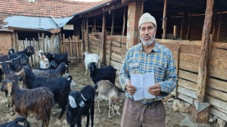 Keçilerini otlatırken şiir yazıp, türkü besteliyor