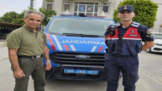 Yaralı porsuğu jandarma kurtardı