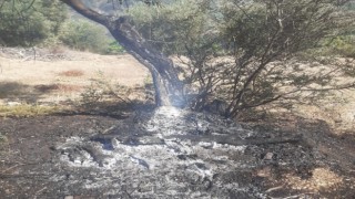 Bayındır Mahallesi'nde yangın