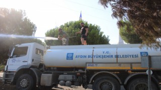 Aydın’daki yangın kontrol altına alındı