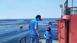 Söke'de balık çiftlikleri denetlendi