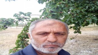 Aydın'da trafik kazası: 1 ölü