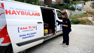 Kuşadası Belediyesi’nin Haybulans araçları 2024’te can dostlara umut oldu