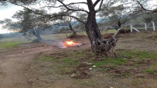 Önce çaldılar Sonra yaktılar