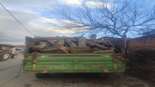 Ormanda ağaç kesen şüpheli yakalandı