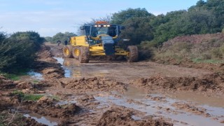 Didim Belediyesi, üreticinin yanında olmaya devam ediyor