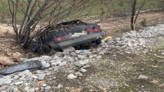 Yoldan çıkan otomobil şarampole uçtu