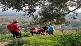 Ağaçtan düşerek ayağı kırılan vatandaşı ekipler kurtardı