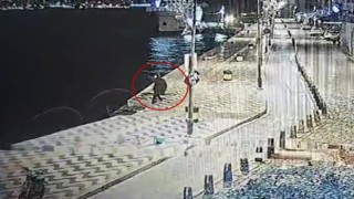 Denize düşerek hayatını kaybetmişti, son anları ortaya çıktı