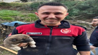 Kanal borusuna sıkışan köpeği itfaiye kurtardı