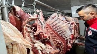 Koçarlı'daki kasaplar denetlendi