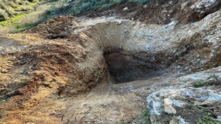 Söke’de kaçak kazı operasyonu