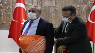 Yılın ahisi seçilmişti, doğum gününde toprağa verildi