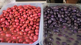 Altı aylık zahmetin ürünü mor ve pembe zeytinler vatandaşların ilgisini çekiyor