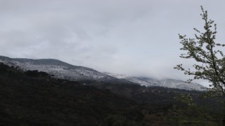 Aynı karede hem bahar, hem kış