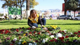 Başkan Çerçioğlu kadınlar ile ele ele veriyor, Aydın rengarenk çiçekler ile süsleniyor 