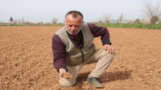Herkesin tarlası yeşile büründü, onunki kahverengi kaldı