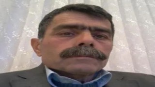 Zeytin bahçesinde cansız bedeni bulundu