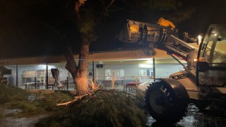 Aydın Büyükşehir Belediyesi'nden şiddetli yağış ve fırtınaya karşı hızlı müdahale