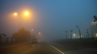Aydın-Muğla yolunda yoğun sis