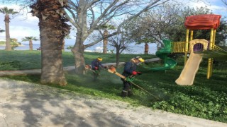 Didim Belediyesi yeşil alanlarda bakım çalışmalarını sürdürüyor