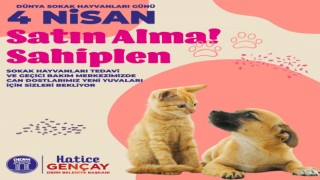 Didim Belediyesi'nden anlamlı çağrı: "Satın alma, sahiplen"