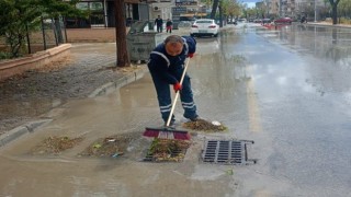 Didim'de mazgallar temizlendi