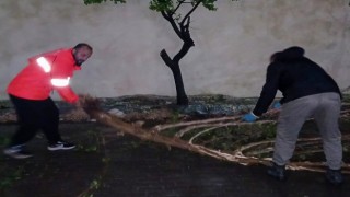 Efeler Belediyesi, fırtınanın izlerini siliyor