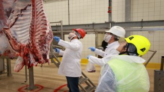 Aydın’da kurban kesim ücretleri belli oldu