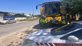 Biçerdöverler kontrol ediliyor