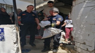 Aydın’da itfaiye ekiplerinden yılan operasyonu