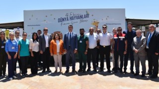 Didim’de hayvan barınağı denetlendi