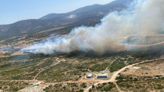 Didim'de makilik alan yangını