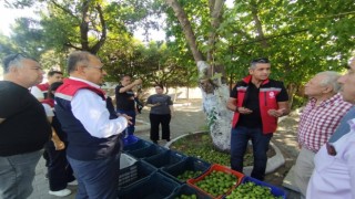 Germencik'te ilek tezgahları denetlendi