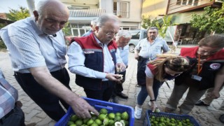 Karacasu’da üreticiye kaliteli ilek uyarısı