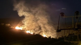 Nazilli'de orman yangını