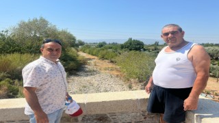 İkizdere Barajı'ndan su bırakılmadı, ağaçlar kurudu