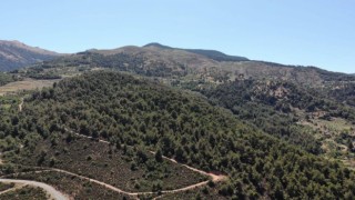 Karacasu Kaymakamlığı'ndan yangın uyarısı