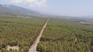 Karacasu’da ormanlarda sıkı denetim