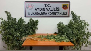 Nazilli'de uyuşturucu operasyonu