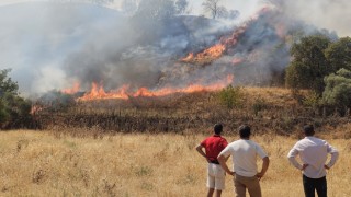 Nazilli'de zirai alanda çıkan yangın kontrol altına alındı