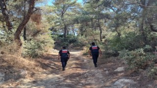 Ormanlar hem karadan hem havadan korunuyor