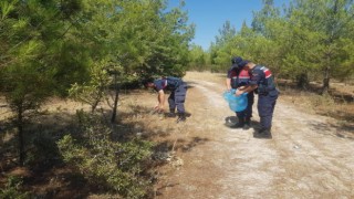 Ormanlık alanlara sıkı denetim