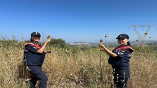 Tülüşah' bitikisine zarar veren 557 bin lira ceza ödeyecek