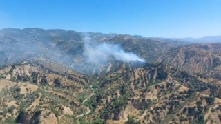 Zeytinlik alanda yangın çıktı, müdahale sürüyor