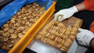 Aydın TARİŞ'te incir alım fiyatları belirlendi