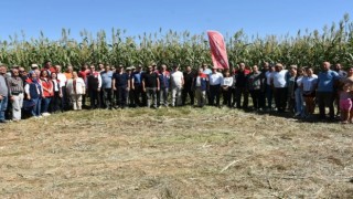 Aydın’da kaba yem açığını kapatacak proje meyvelerini veriyor