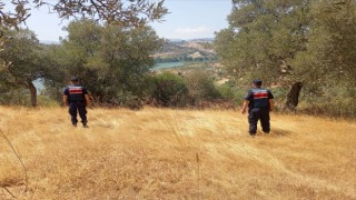 Aydın’da ormanlar jandarma gözetiminde