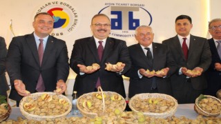 Aydın'da sezonun ilk kuru inciri 800 liradan satıldı