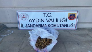 Bahçeden 50 kilo incir çalan şüpheliler jandarmadan kaçamadı